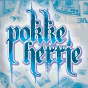 (c) Pokke-herrie.com